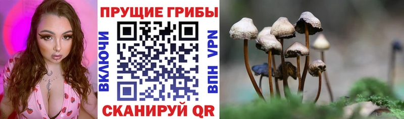 Псилоцибиновые грибы ЛСД  Змеиногорск 